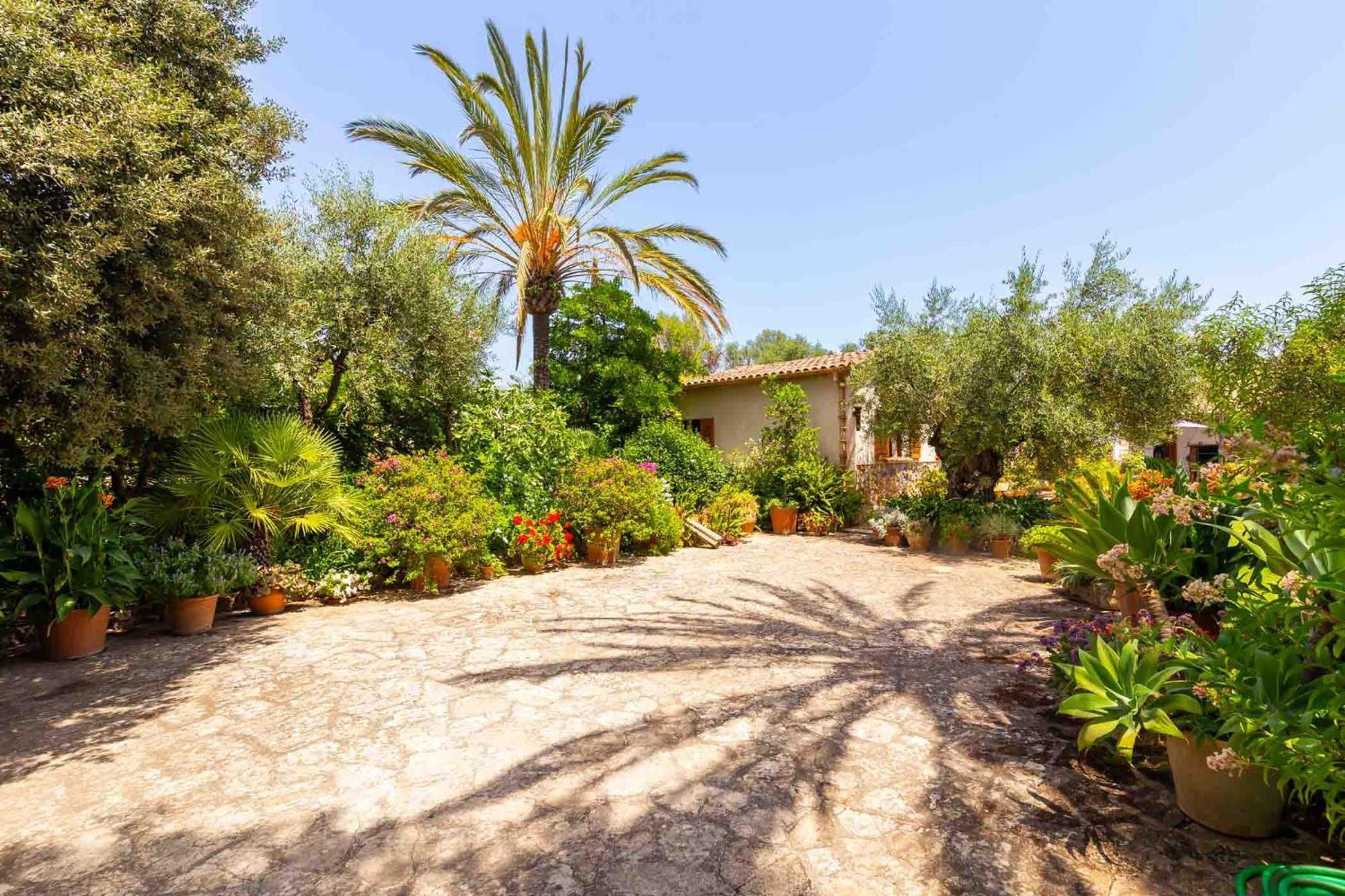 Can Vadell Pollenca Exterior photo